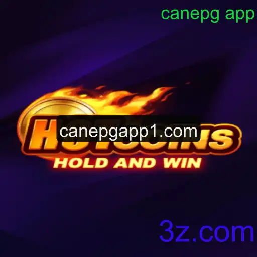 Explorando o Universo de HotCoins: Um Mergulho no Mundo dos Jogos de Criptoativos