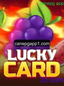 Descubra o Fascinante Jogo LuckyCard: Diversão e Estratégia