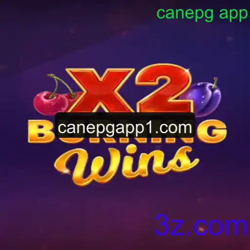Explorando o Mundo Empolgante de BurningWinsX2 no canepg app